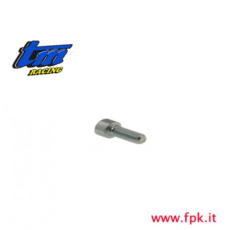 VITE TCEI 6 X 30 (Figura n° 4) 